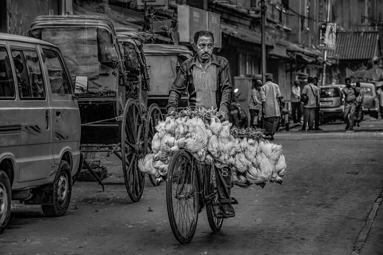 Beginning_Of_The_Day